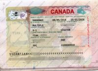 ���ô�̽�H���C